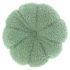 Chico-40-Rond-tea green