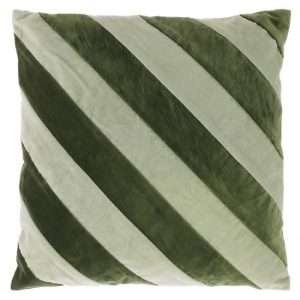 Tea Green Wintergreen