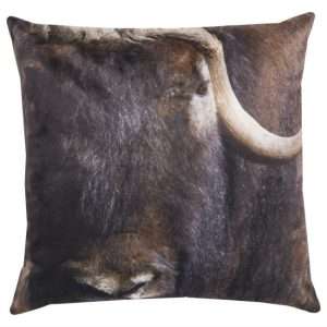 Buffel